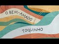 O bem-amado - Toquinho (Áudio Oficial)