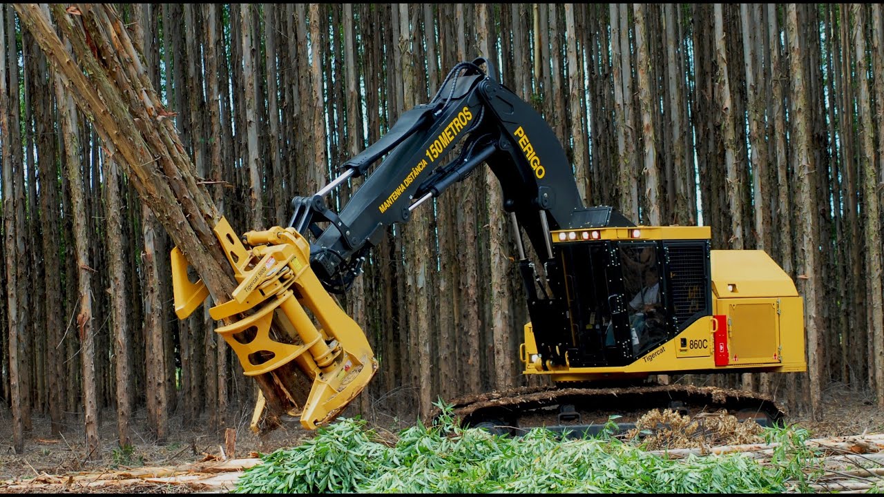 Máquinas Florestais / Feller, Skidder, Harvester/ Dia de Campo Segurança do Trabalho