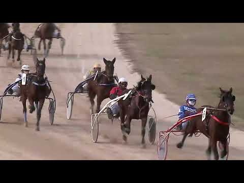 2023.02.11. 04. futam - KISKARCSI DÍJ