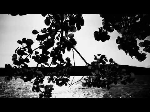 Adam Baldych & Helge Lien Trio – "Elegy"