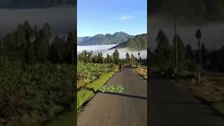 Download lagu Gunung berawan 🌿#short#alam#pegunungan#wisataalam mp3