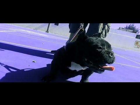 El Tenorio - Asi De Simple ft. @rooge7566 (Video Oficial)