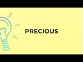 What is the meaning of the word PRECIOUS?