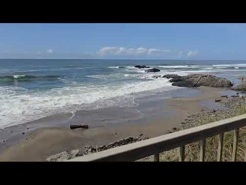 Unit 241 Interior Tour