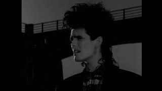 Charlie Sexton   Impressed 1985 #subscribe