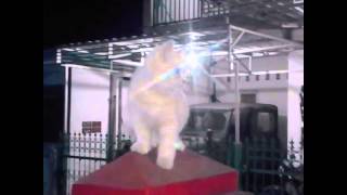 simba si singa putih