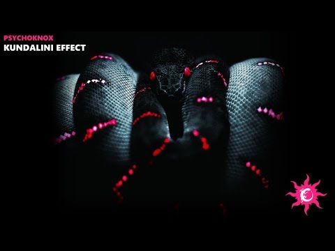 PsYchoKNOX - Kundalini Effect