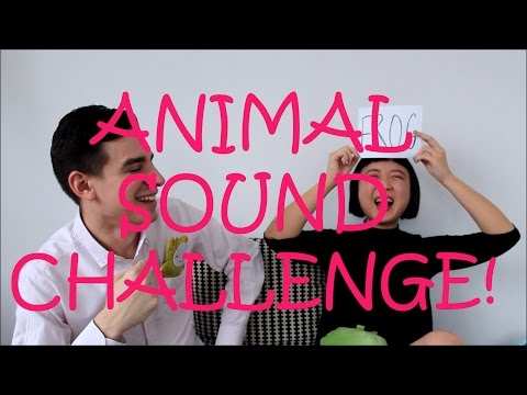 MatSan: ANIMAL SOUND CHALLENGE!