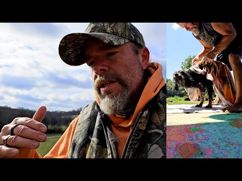 Pwr Talk - 003 - Luci Vibe