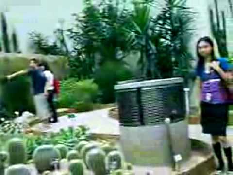 Happy Birthday for Dorcas ~ 10-08-2006