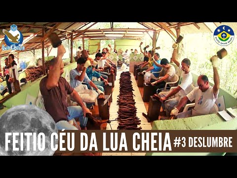 Deslumbre - Léo Artese 💚 (Hinário de Lua Cheia) 💚