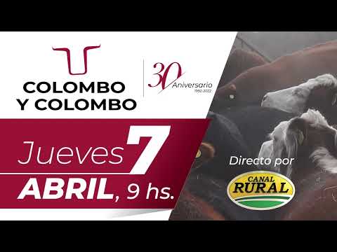 Remate 30º Aniversario - Colombo y Colombo