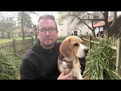 Impuls #12 | Worauf freu ich mich am meisten?