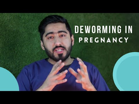 Q: Kiya cats ko pregnancy mai deworming kar sakty han? || Animalia Dot Pk