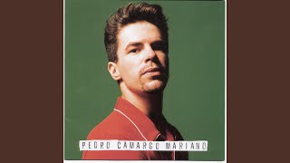 As Curvas Da Estrada De Santos