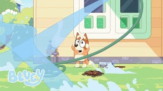 Bluey and the Hose gameplay video by MH_Room15, 2:12 duration