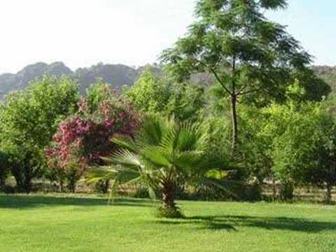 Denklem egsoz sesi www.alemx.net