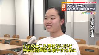 サンプル動画