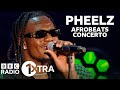 Pheelz - Finesse | 1Xtra's Afrobeat Concerto
