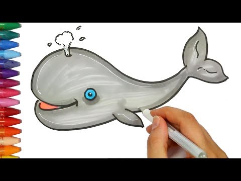 Search Result Youtube Video Mudah Menggambar Ikan Lumba Paus Mewarnai