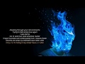 Environment Dave Lyrics
