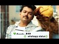 Maaccho WhatsApp Status Mersal Thalapathy Kajal Atlee Ar Rahman