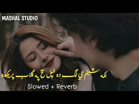 Laka Shabnam Mi Da Khpal Makh Pa Gulab Preda [ Slowed+Reverb ] Pashto New Song