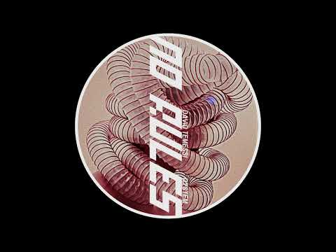 David Temessi, Dystem - No Rules