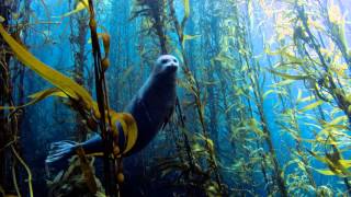 Underwater - Water Planet (Aerodrome Remix)