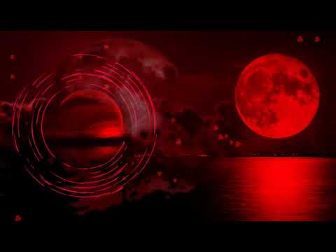 Adele x Tom Odell Set Fire To The Rain x Another Love (Lyrics) [Tik Tok Mashup].