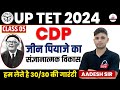 UP TET 2024 CDP Child Development The Cognitive Development Of Jean Piaget By Aadesh Sir