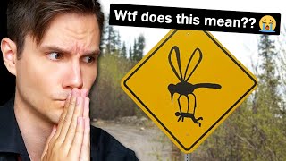 r/Nope - is that a... MOSQUITO??