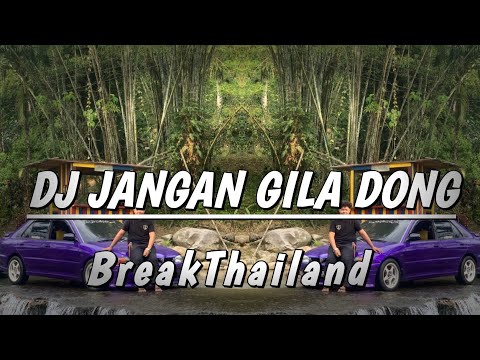 DJ Nicko Official - DJ Jangan Gila Dong (BreakThailand)