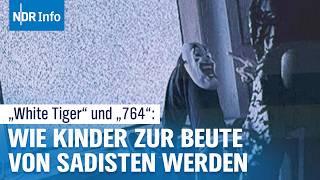 "White Tiger" und Gruppe "764": Wie Kinder online zur Beute von Sadist