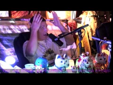 Joe Rogan Experience #267 - Mac Danzig