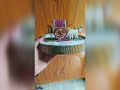Bullock Cart Decoration Idea