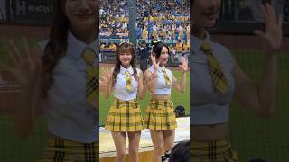 #君白#小迪#再來一顆好球三振他#PassionSisters#台湾チアリーディングチーム#中華職棒#CPBL#洲際棒球場#20240816
