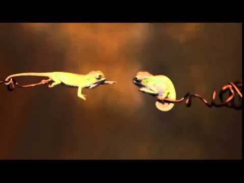 Dusty Springfield - Son Of A Preacher Man (Charlie Beale Edit)