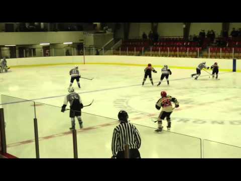 TOURNAMENT GAME - Czech Knights vs North Shore WinterHawks AAA - 15/2/2016