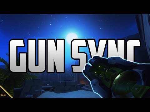 Overwatch Gun Sync - New Divide