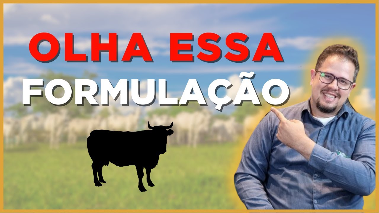 FORMULAÇÃO DE RAÇÃO para um lote de animais - PECUÁRIA DE CORTE