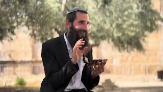 דבריו המופלאים של המקובל הרב מאיר יהודה גץ זצ"ל על העלייה להר הבית בימינו | הרב אלישע וולפסון (ישיבת הר הבית) - התמונה מוצגת ישירות מתוך אתר האינטרנט יוטיוב. זכויות היוצרים בתמונה שייכות ליוצרה. קישור קרדיט למקור התוכן נמצא בתוך דף הסרטון דבריו המופלאים של המקובל הרב מאיר יהודה גץ זצ"ל על העלייה להר הבית בימינו | הרב אלישע וולפסון (ישיבת הר הבית) - התמונה מוצגת ישירות מתוך אתר האינטרנט יוטיוב. זכויות היוצרים בתמונה שייכות ליוצרה. קישור קרדיט למקור התוכן נמצא בתוך דף הסרטון