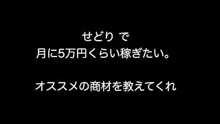 せどり で月に5万円くらい稼ぎたい。オススメの商材を教えてくれ