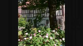 preview picture of video 'Impressionen aus Weinstadt im Remstal.'