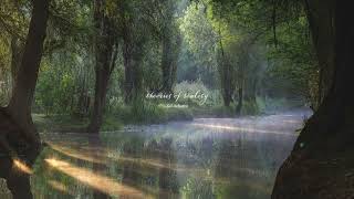 music that feels like the sun shining through the trees