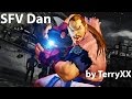 SFV Mods Dan By TerryXX