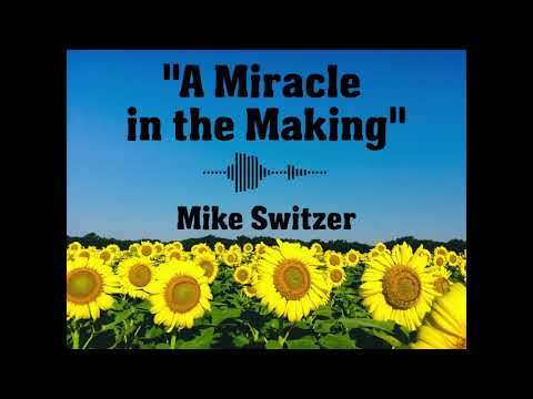 "A Miracle in the Making" - Mike Switzer