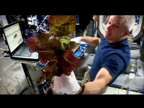 Space Station Live: How Does Your Garden Grow in Space?