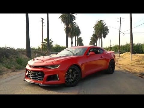 No Beef (VIZIONERZ CULTURE X DAVUISIDE Remix) | GTR & STR Showtime