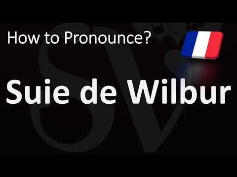 How to Say Wilbur Soot in French?